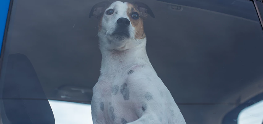 Car Lockout Solutions in King City, California